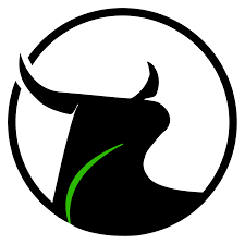 black bull biochar logo